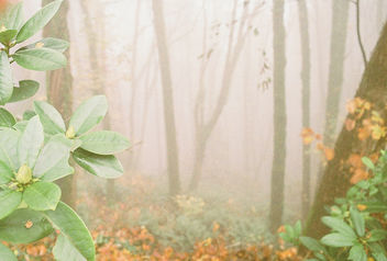 In the Afternoon. - Kostenloses image #295825